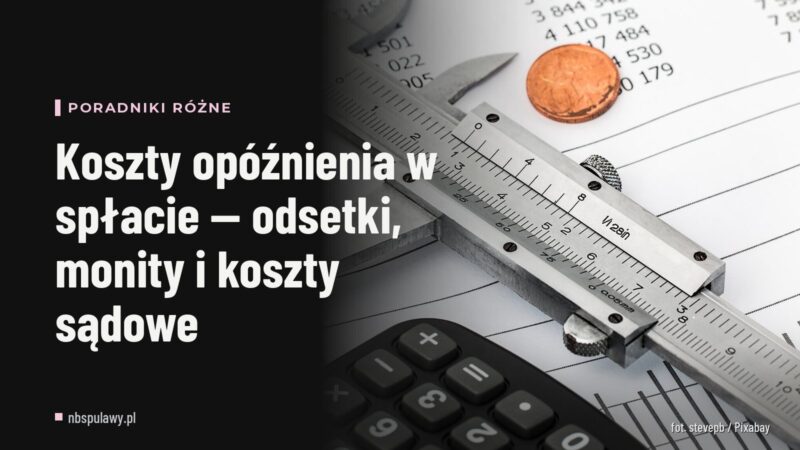 Koszty opóźnienia w spłacie — odsetki, monity i koszty sądowe