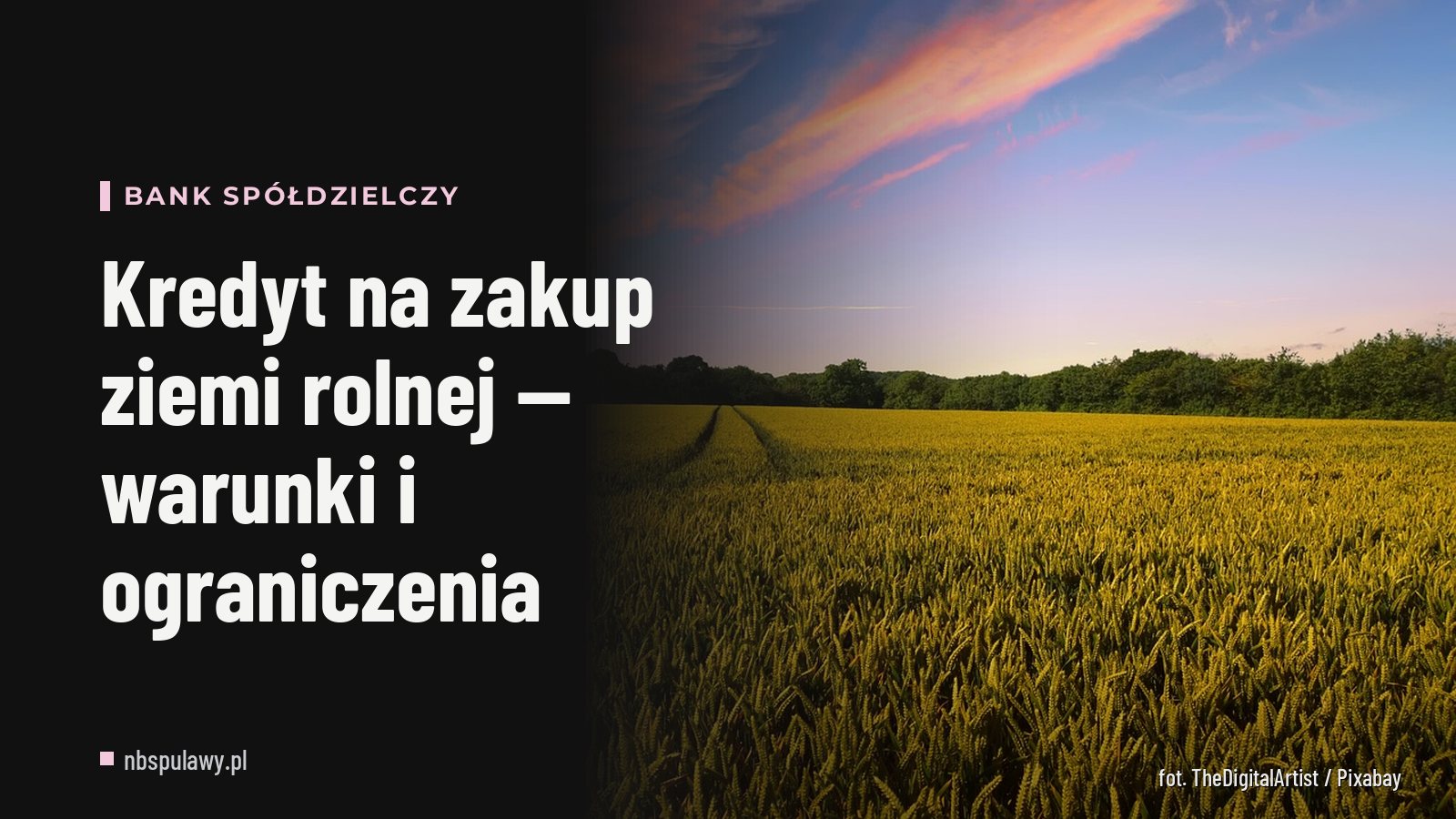 Kredyt na zakup ziemi rolnej — warunki i ograniczenia