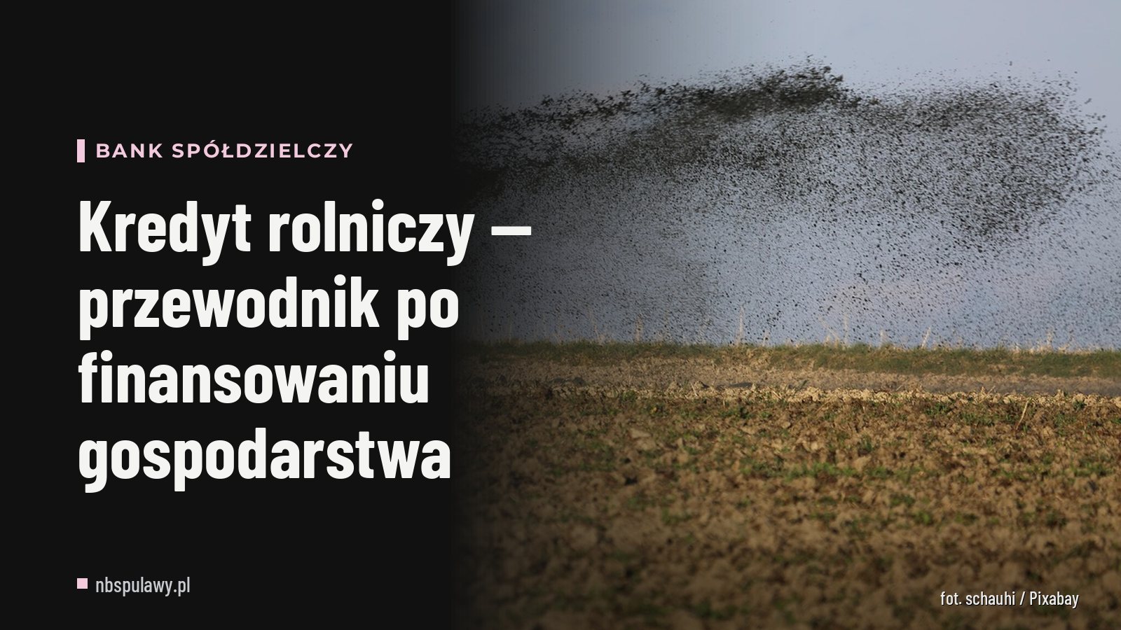 Kredyt rolniczy — przewodnik po finansowaniu gospodarstwa