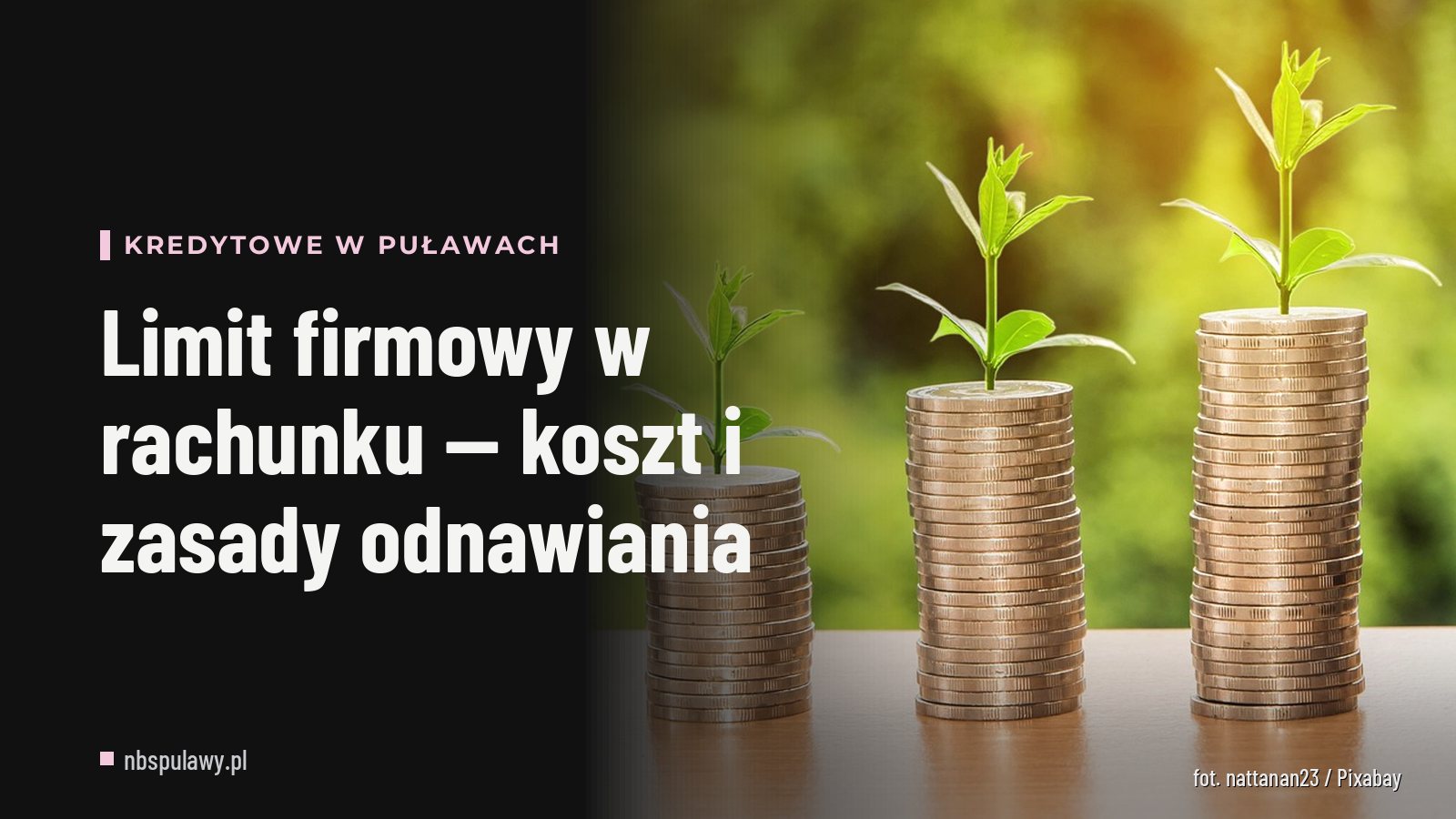 Limit firmowy w rachunku — koszt i zasady odnawiania