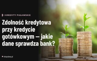 Zdolność kredytowa przy kredycie gotówkowym — jakie dane sprawdza bank?