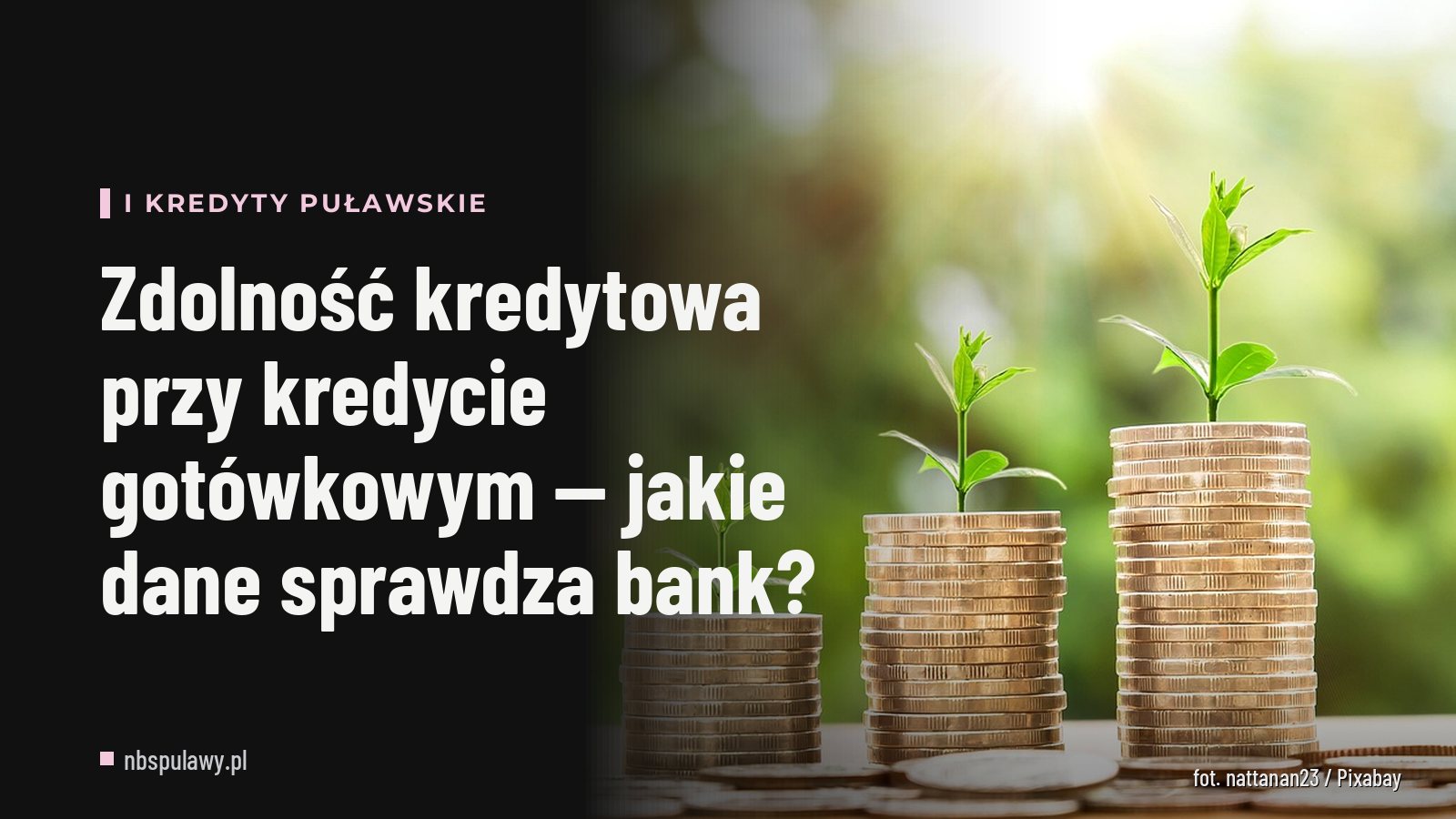 Zdolność kredytowa przy kredycie gotówkowym — jakie dane sprawdza bank?